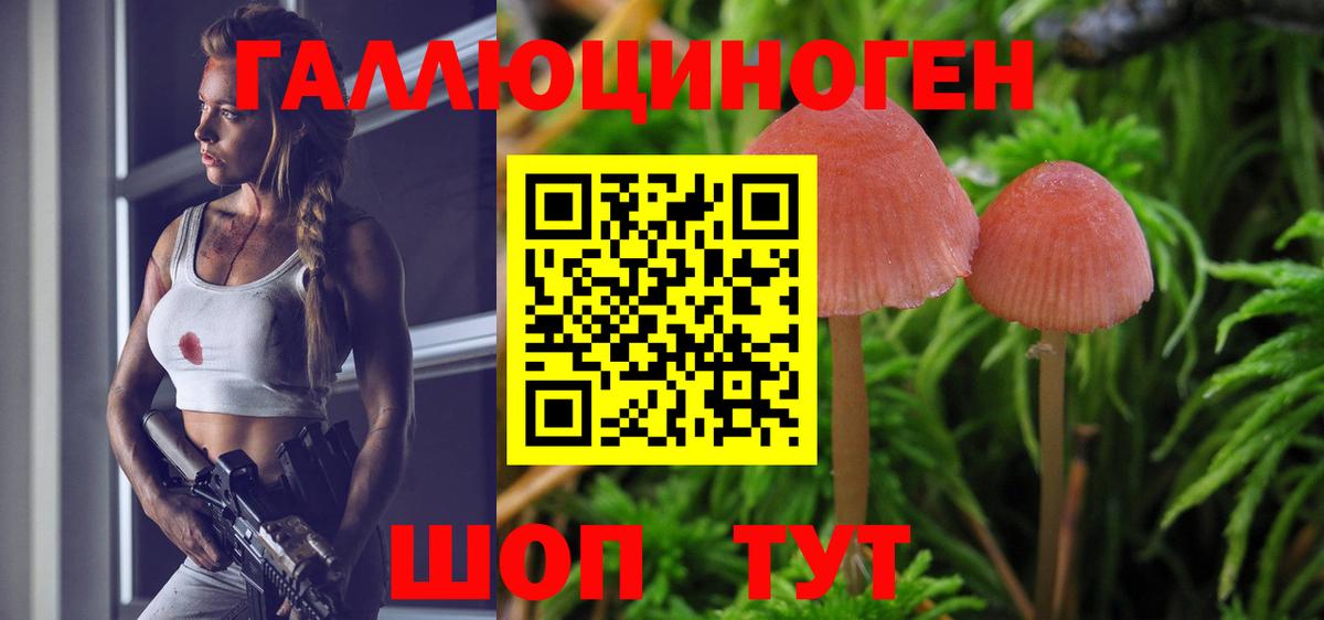 Ростов Великий  Галлюциногенные грибы GOLDEN TEACHER  Вход с VPN  Псилоцибиновые грибы мухоморы 